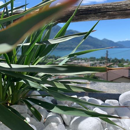 Appartamento Ai Ronchi Gordola Exterior foto