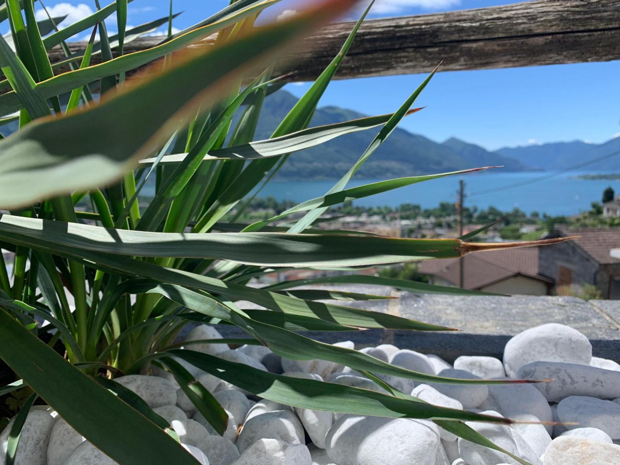 Appartamento Ai Ronchi Gordola Exterior foto