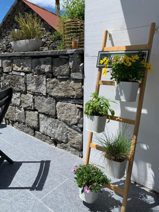 Appartamento Ai Ronchi Gordola Exterior foto